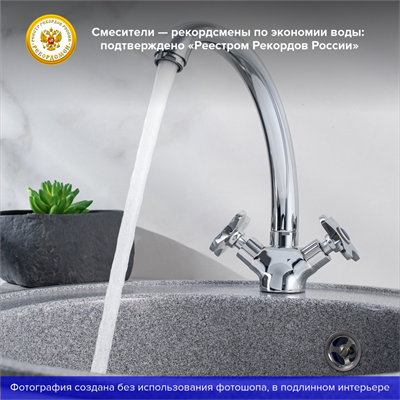 Смеситель для кухни РМС SL115-273F двуручковый - фото 737253463
