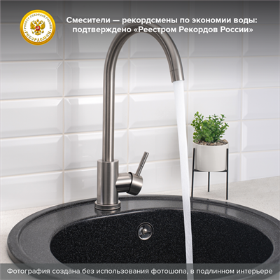 Смеситель для кухни РМС SUS124-017FL Нержавеющая сталь матовый - фото 737253535