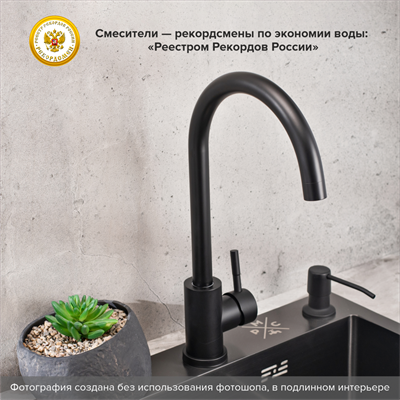 Смеситель для кухни РМС SUS124BL-017F Черный - фото 737253544