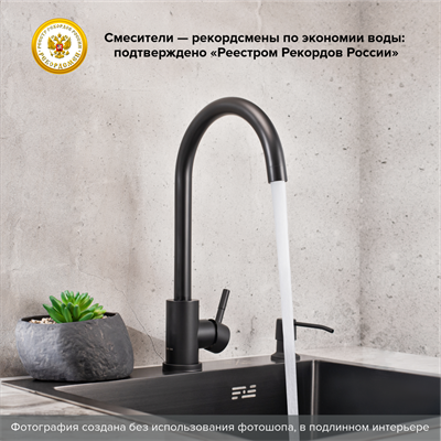 Смеситель для кухни РМС SUS124BLK-017F из нержавеющей стали черного цвета - фото 737253548