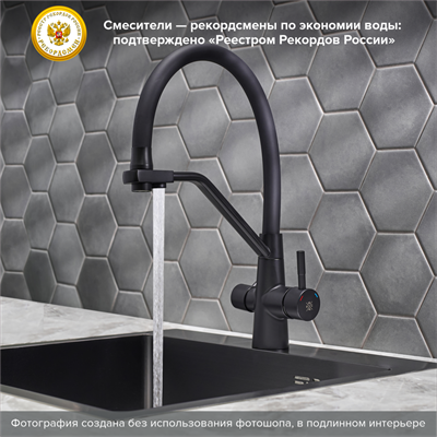 Смеситель для кухни РМС SUS127TBL-016F-015 с фильтром для питьевой воды Черный - фото 737253634